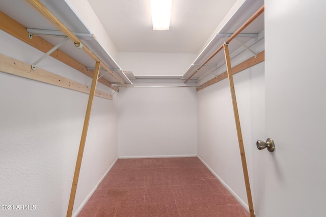 walk in closet with carpet flooring