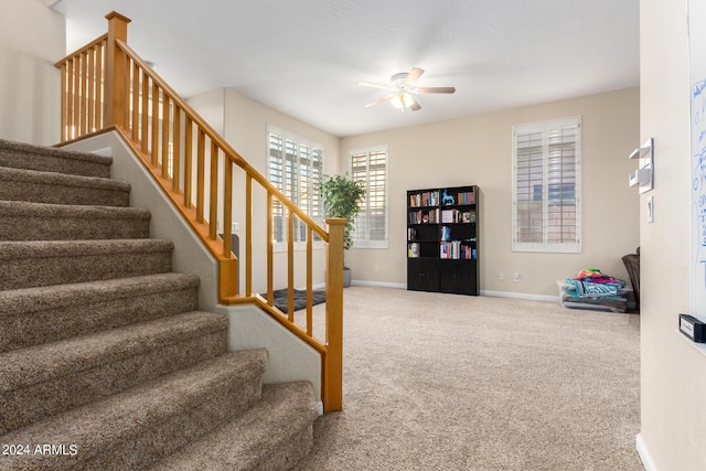 stairway featuring a ceiling fan, carpet, and baseboards