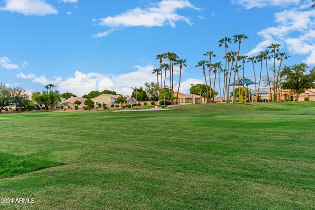 view of community featuring a residential view and a yard