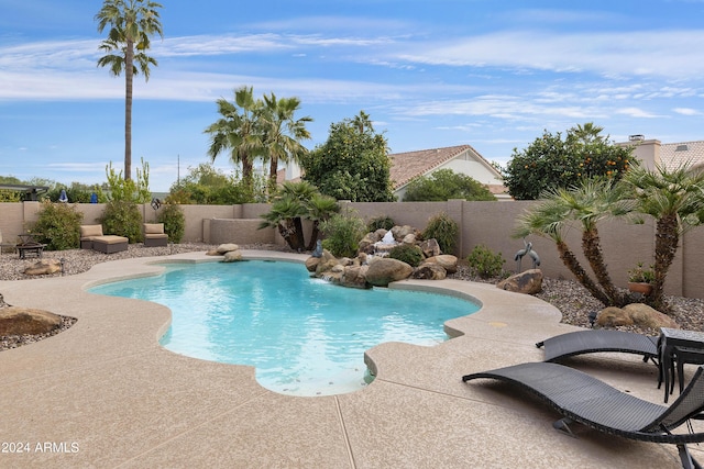 view of swimming pool with a patio area