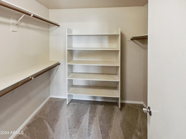 spacious closet with carpet floors