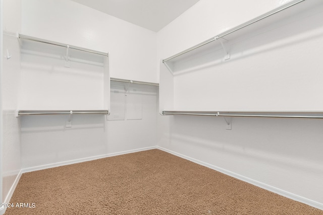 spacious closet featuring carpet