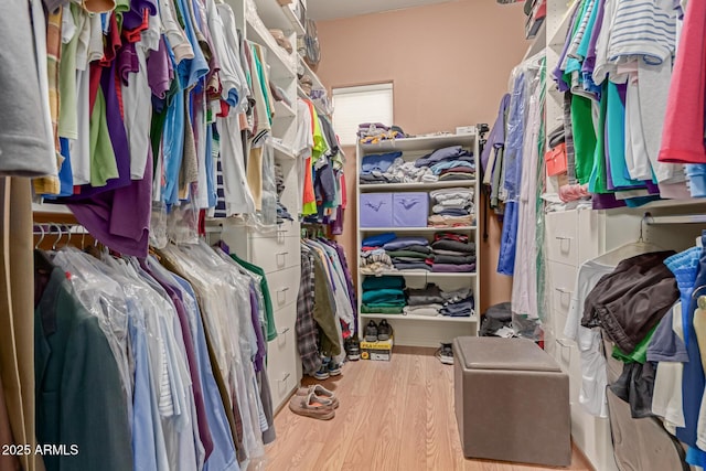 spacious closet featuring wood finished floors