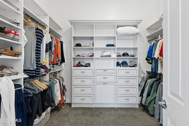 spacious closet featuring dark carpet