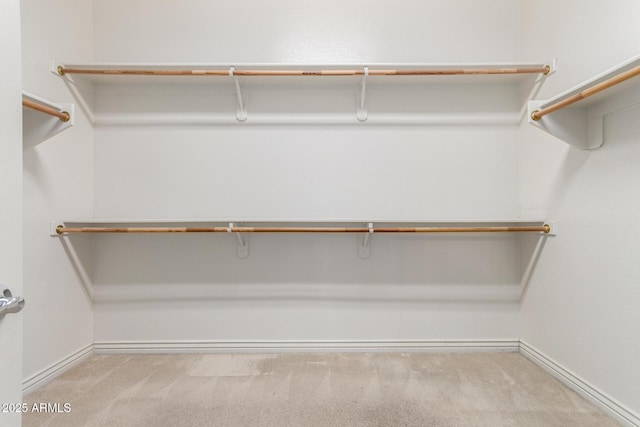 walk in closet with carpet flooring