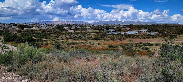 Listing photo 2 for LOT21 Navajo Pl Unit 21, Tombstone AZ 85638