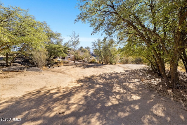 3155 N State Route 89, Prescott, AZ 86301 - view of yard