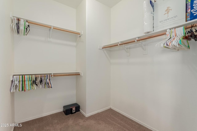 spacious closet featuring carpet flooring