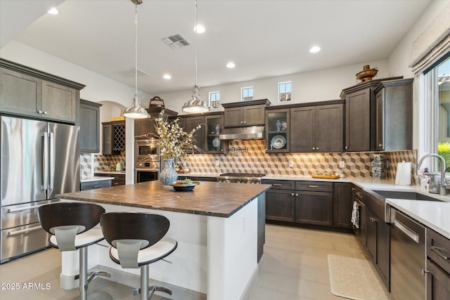 15711 S 11th Ave, Phoenix, AZ 85045 - kitchen with appliances with stainless steel finishes, under cabinet range hood, a sink, a kitchen island, and dark brown cabinets