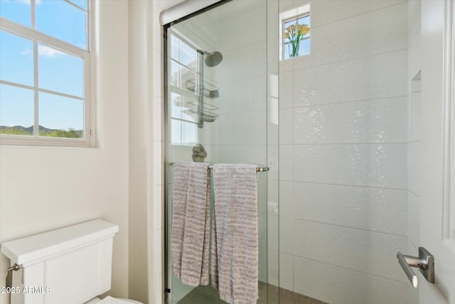 15711 S 11th Ave, Phoenix, AZ 85045 - bathroom featuring toilet and a shower stall