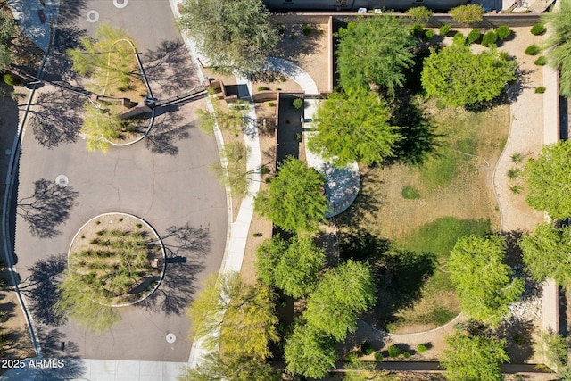 15711 S 11th Ave, Phoenix, AZ 85045 - bird's eye view