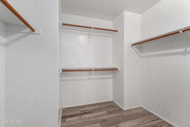 walk in closet with dark wood-type flooring