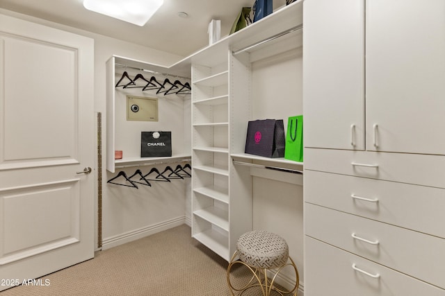 spacious closet with light colored carpet