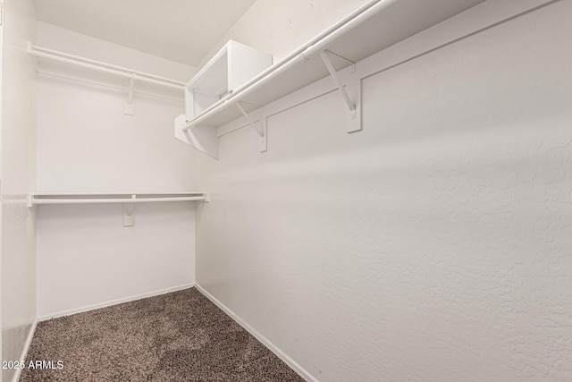 spacious closet with carpet