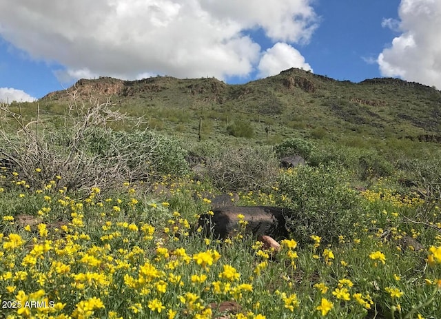 5607 W Alyssa Ln, Phoenix, AZ 85083 - view of mountain background