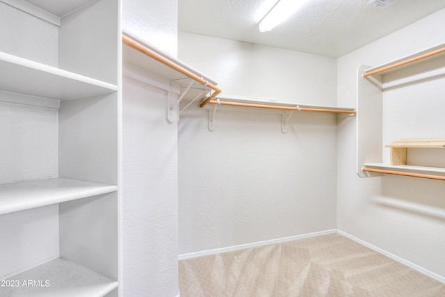 spacious closet featuring carpet flooring