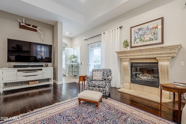 living area featuring wood-type flooring