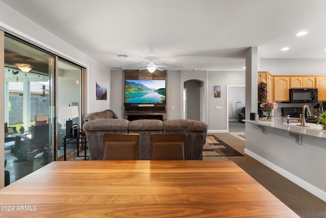 interior space featuring sink and ceiling fan