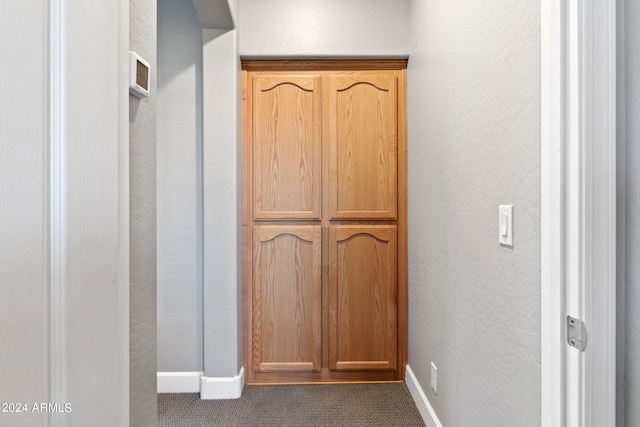 room details with carpet flooring