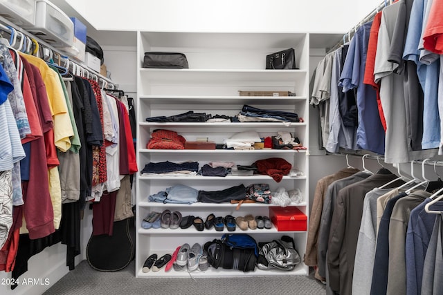 spacious closet featuring carpet flooring