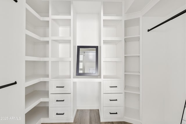 walk in closet featuring light hardwood / wood-style flooring