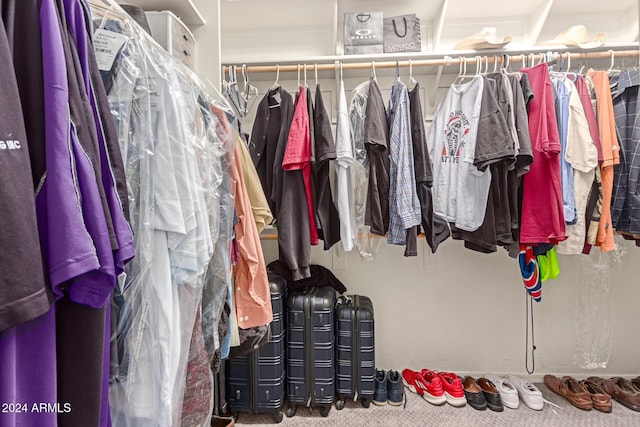 spacious closet with carpet