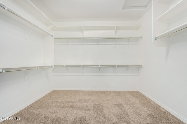 walk in closet with carpet floors