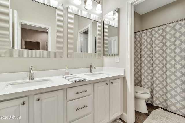 bathroom with wood finished floors, a sink, toilet, and double vanity