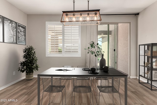 10307 E Tiburon Ave, Mesa, AZ 85212 - dining space with wood finished floors, baseboards, and plenty of natural light