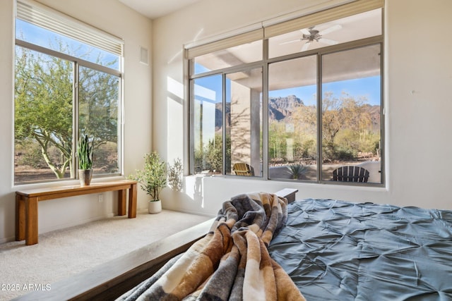 148 N La Barge Rd, Apache Junction, AZ 85119 - view of carpeted bedroom