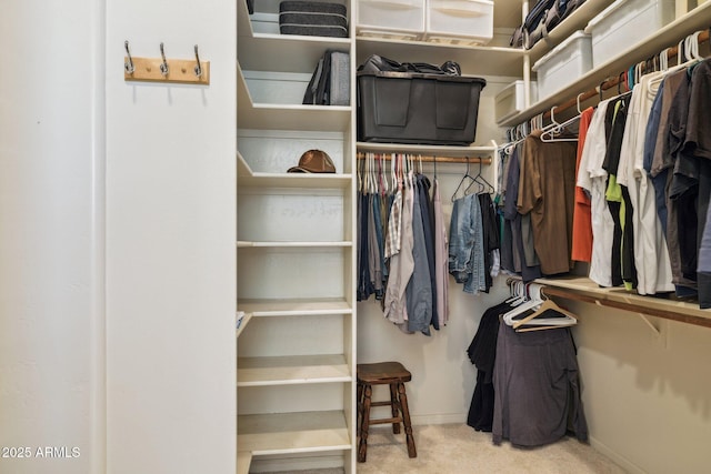 148 N La Barge Rd, Apache Junction, AZ 85119 - spacious closet featuring carpet