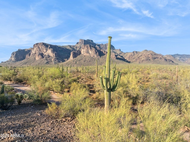 148 N La Barge Rd, Apache Junction, AZ 85119 - mountain view