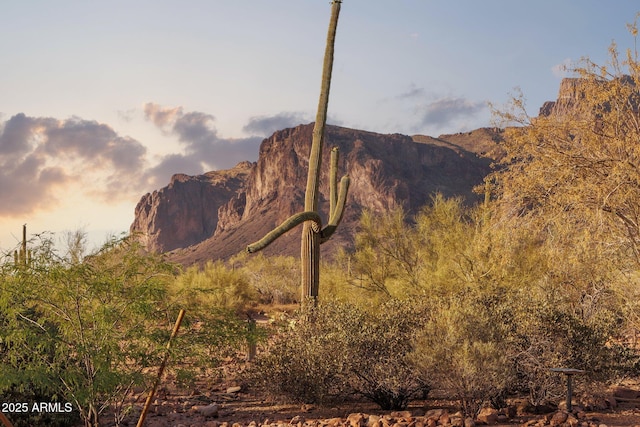 148 N La Barge Rd, Apache Junction, AZ 85119 - mountain view