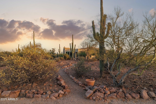 148 N La Barge Rd, Apache Junction, AZ 85119 - view of yard at dusk