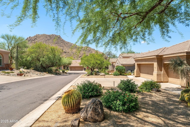 11324 E Diamond Cholla Dr, Scottsdale, AZ 85255 - view of mountain backdrop