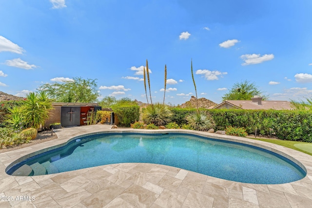 11324 E Diamond Cholla Dr, Scottsdale, AZ 85255 - view of outdoor pool