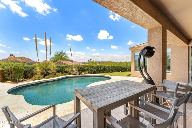 11324 E Diamond Cholla Dr, Scottsdale, AZ 85255 - swimming pool with a patio area