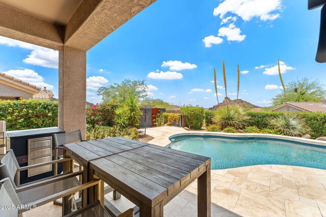 11324 E Diamond Cholla Dr, Scottsdale, AZ 85255 - swimming pool with a patio and outdoor dining space