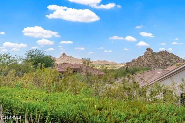 11324 E Diamond Cholla Dr, Scottsdale, AZ 85255 - view of mountain backdrop