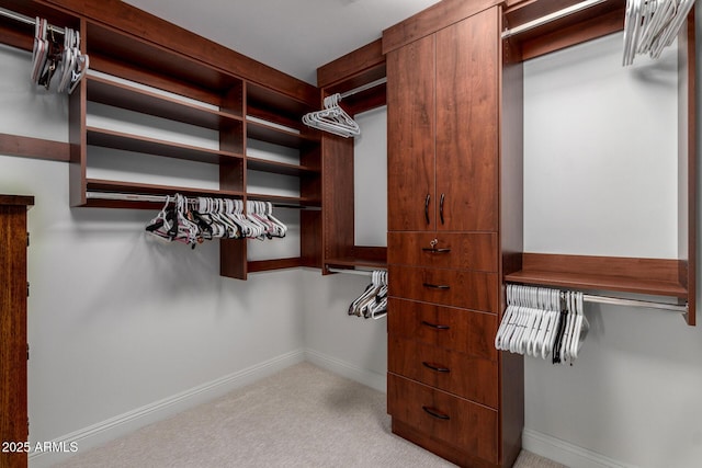 spacious closet with carpet flooring