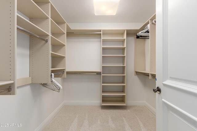 walk in closet with carpet flooring