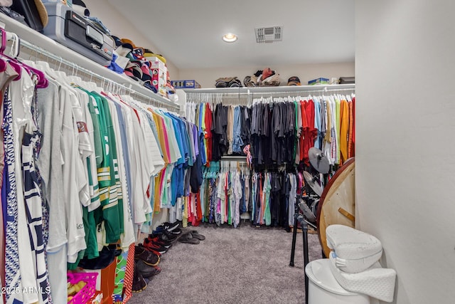 spacious closet featuring carpet