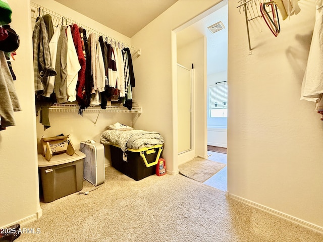 1758 E San Xavier Dr, Casa Grande, AZ 85122 - spacious closet with carpet floors