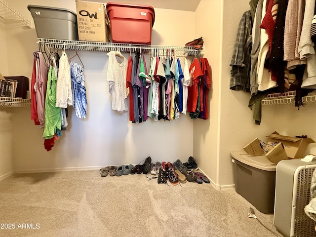 1758 E San Xavier Dr, Casa Grande, AZ 85122 - walk in closet featuring carpet floors
