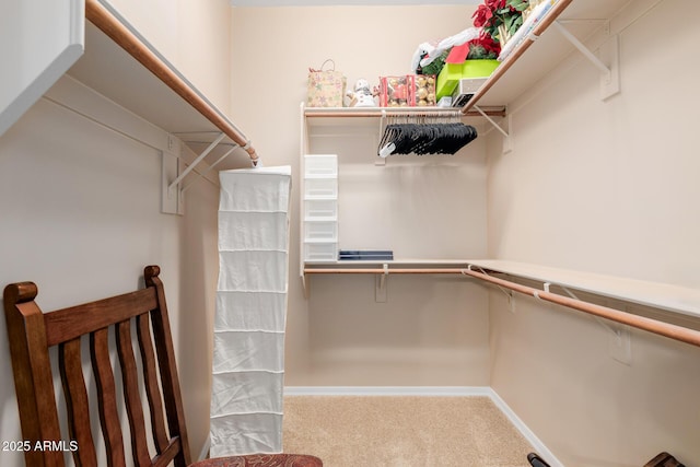 walk in closet featuring carpet floors