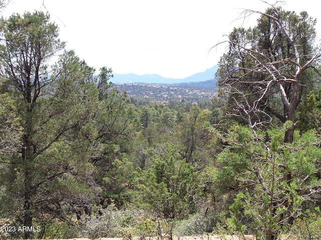 Listing photo 3 for 1412 E Tranquility Pt -, Unit Payson AZ 85541