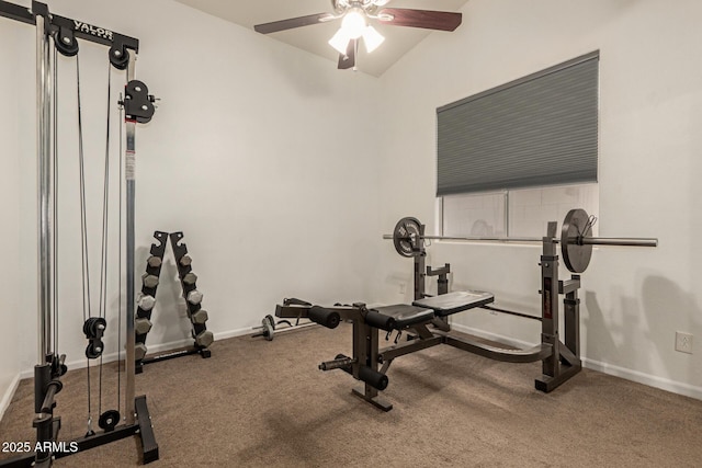 3946 N 112th Ave, Avondale, AZ 85392 - exercise area featuring a ceiling fan, baseboards, carpet floors, and lofted ceiling
