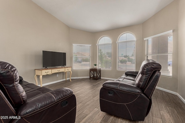 3946 N 112th Ave, Avondale, AZ 85392 - living area featuring wood finished floors, baseboards, and lofted ceiling