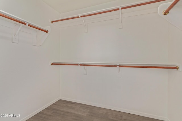 spacious closet with wood-type flooring