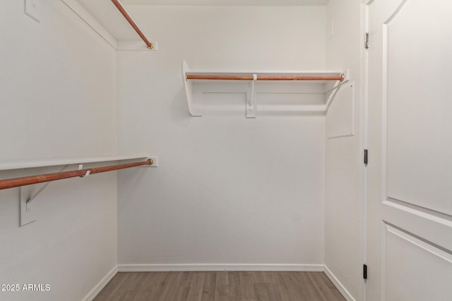 spacious closet featuring hardwood / wood-style flooring